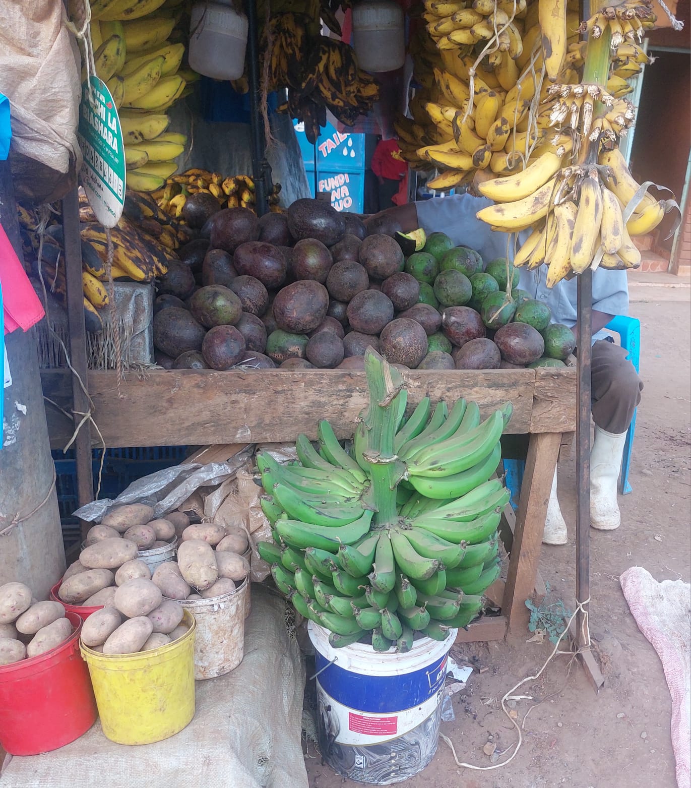 whatsapp image 2026 03 12 at 08.20.53